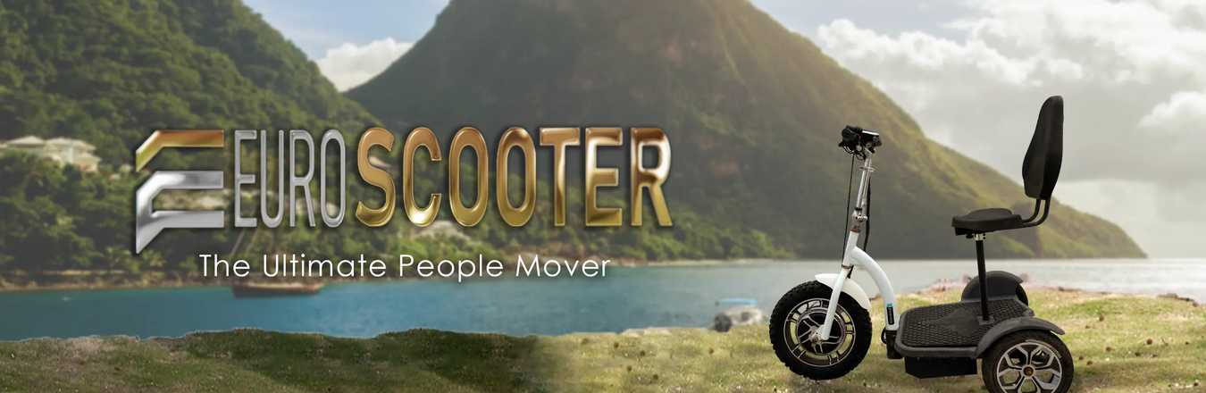 Euro Scooter Models